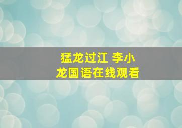 猛龙过江 李小龙国语在线观看